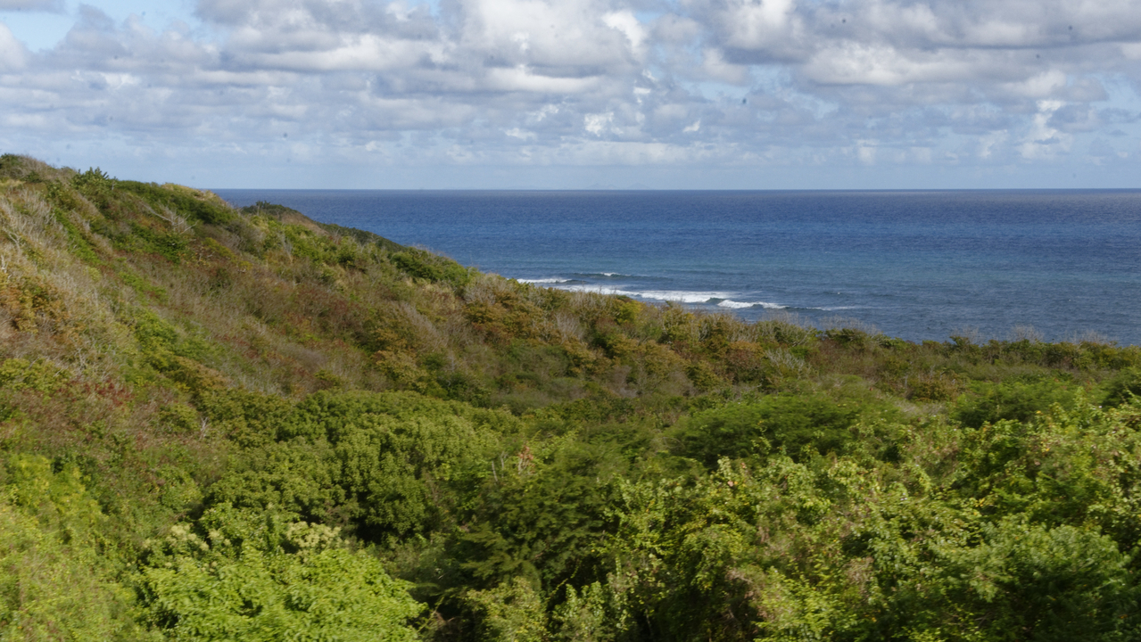 20190204-092747•Scenic Railway•Nicola Town•Christ Church Nichola Town•St Kitts and Nevis